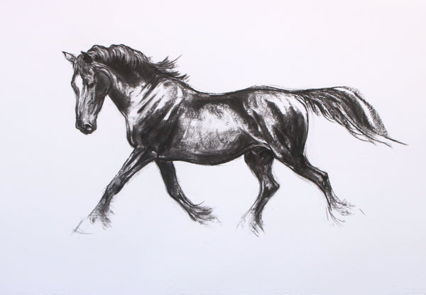 10/100 Cob type sketch