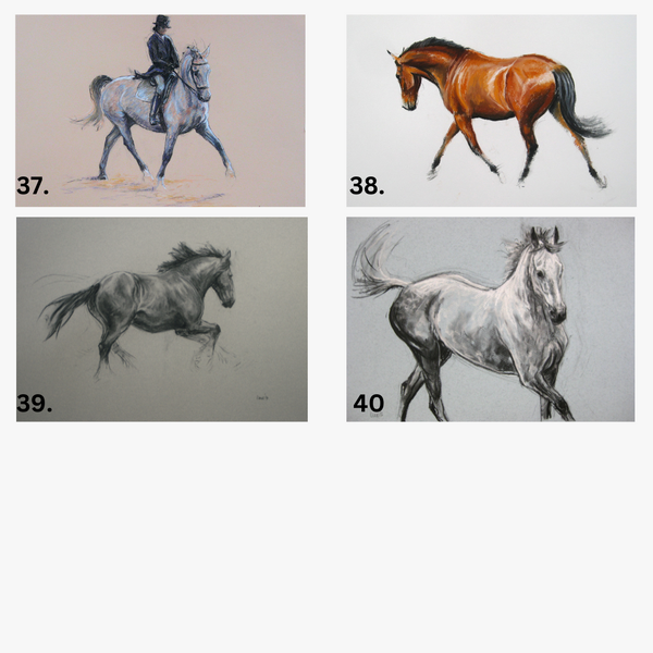 Card sale - Landscape cards