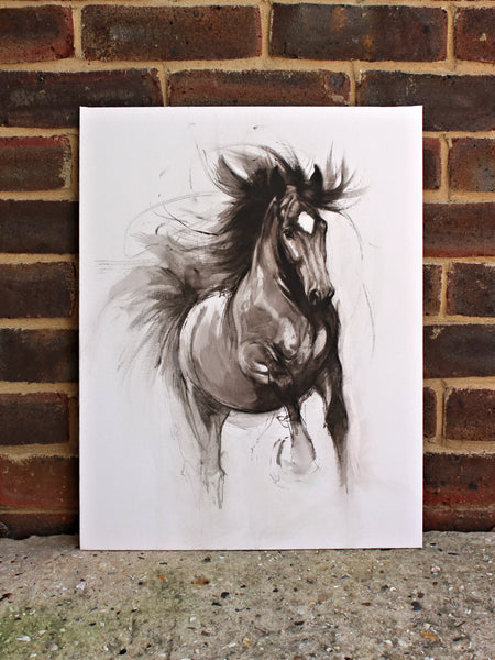 15/100 Bold black and white horse art