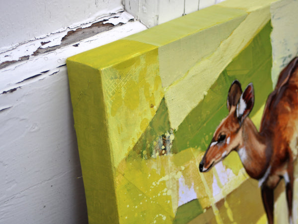 Mini Series - Female Bushbuck Collage I