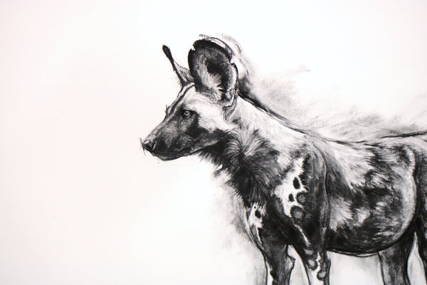 Alpha - Charcoal Painted Dog Study