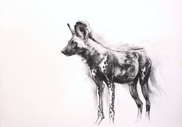 Alpha - Charcoal Painted Dog Study