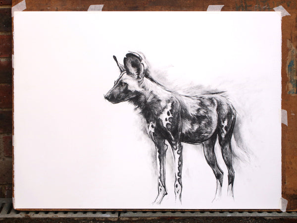 Alpha - Charcoal Painted Dog Study