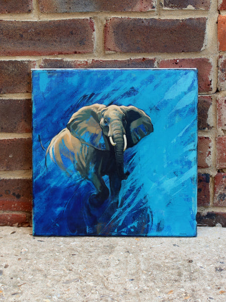 32/100 - Elephant Mock Charge