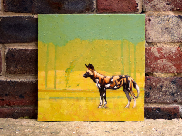 47/66 - Golden Light Painted Dog