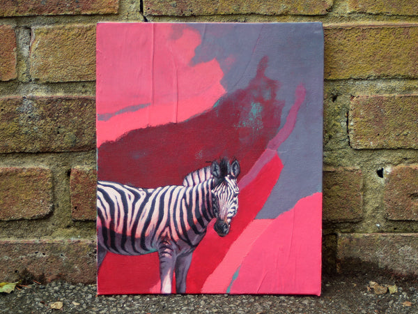 Pink Zebra