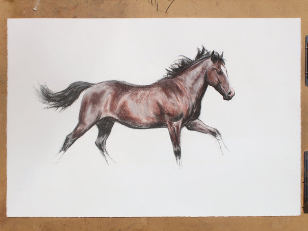 7/100 Running Mare