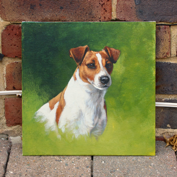 Jack Russell Terrier Dog painting 1
