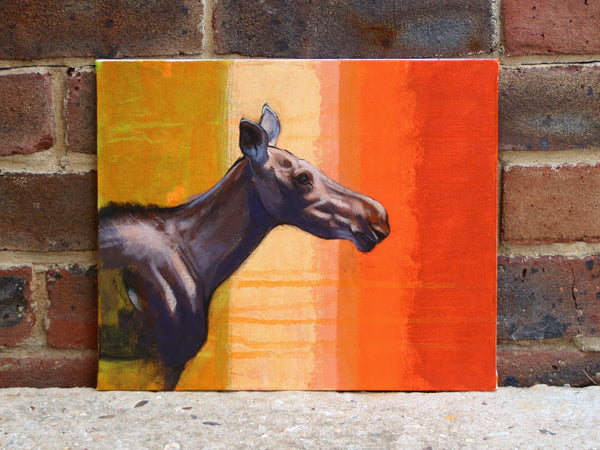 29/100 - Young Moose