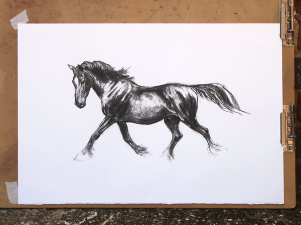 10/100 Cob type sketch