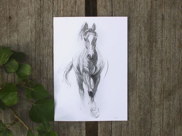 A6 Horse card - Hello