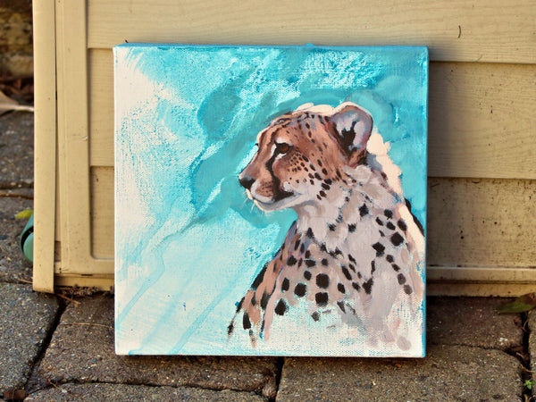 Mini Series - Morning Light Cheetah Head Study