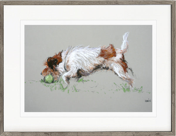 'My Ball!' Jack Russell Terrier Dog Print