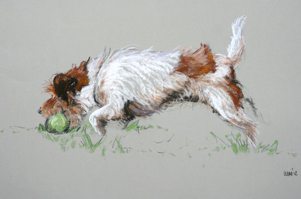'My Ball!' Jack Russell Terrier Dog Print