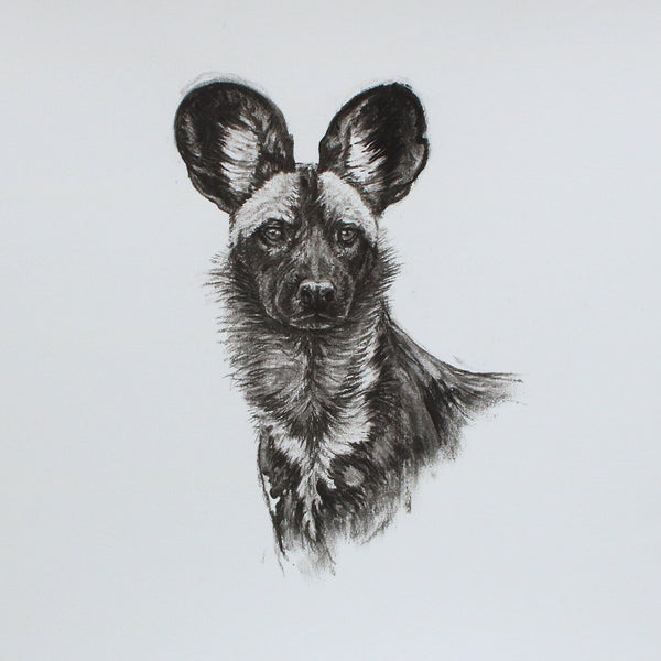 45/66 series - Charcoal Portrait sketch