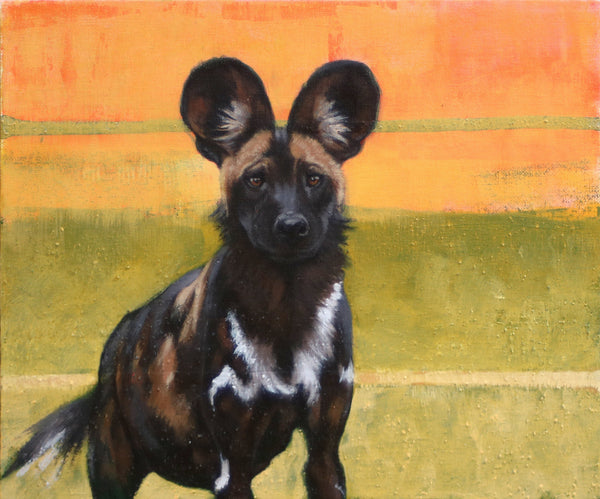 43/66 - Painted Dog Watching