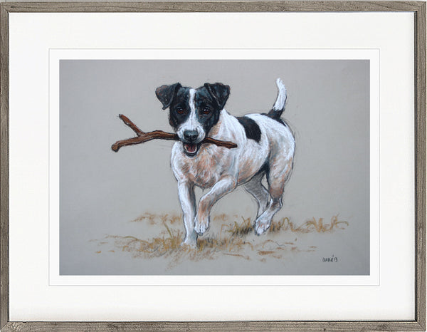 'Sticks' Jack Russell Terrier Dog Print