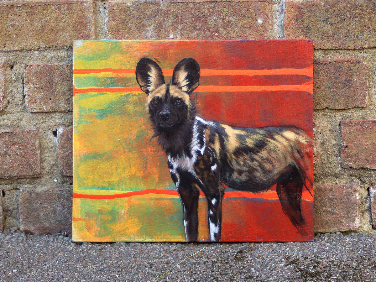 31 66 African Painted Dog Painting Series Heather Irvine Wildlife And 31-66-african-painted-dog-painting-series-heather-irvine-wildlife-and