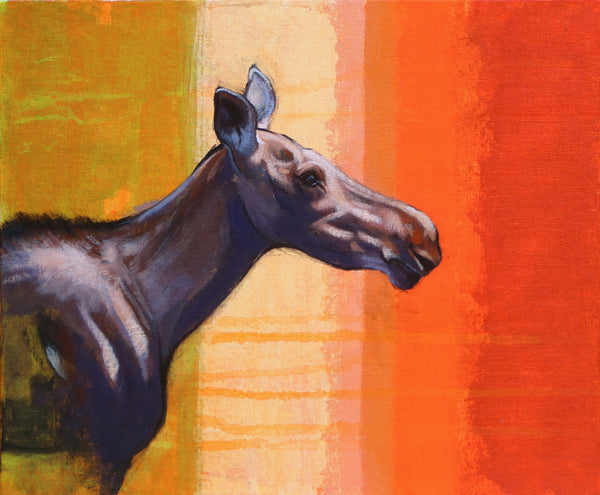 29/100 - Young Moose