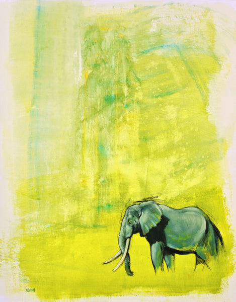 6/100 Elephant