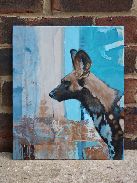 60/66 - 'Rust' African Painted Dog