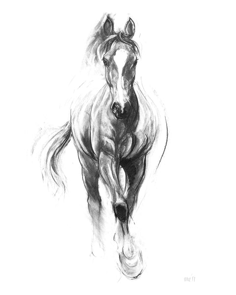 A6 Horse card - Hello