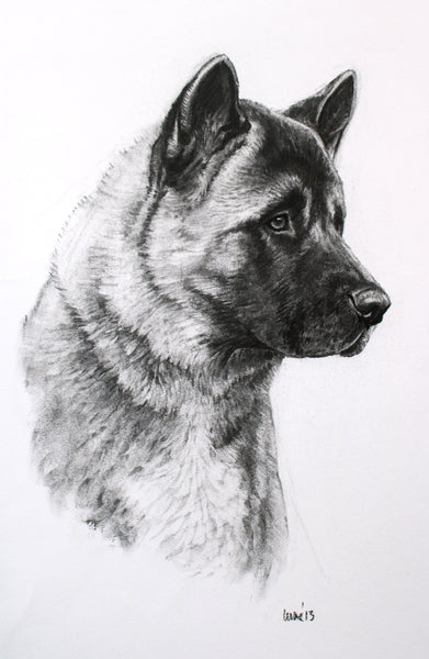 Akita dog print