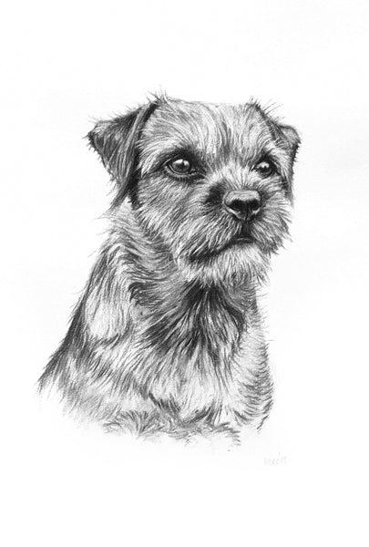 Border Terrier dog print
