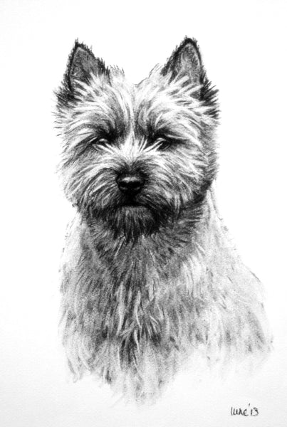 Cairn Terrier dog print
