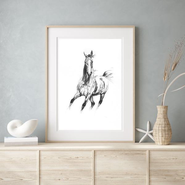 Gallop