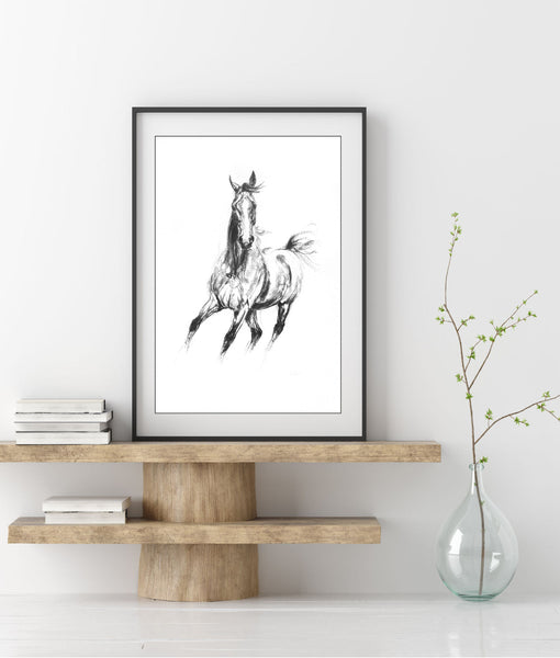 Gallop