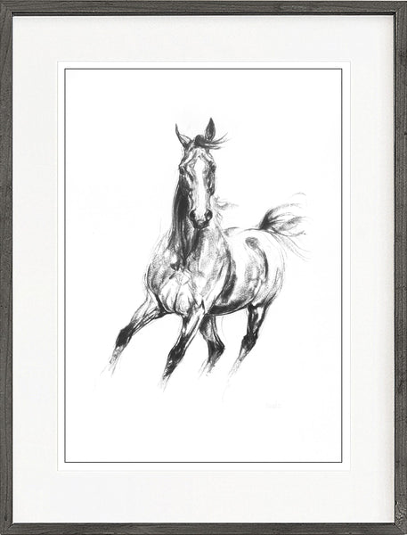Gallop