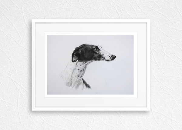 Greyhound dog print
