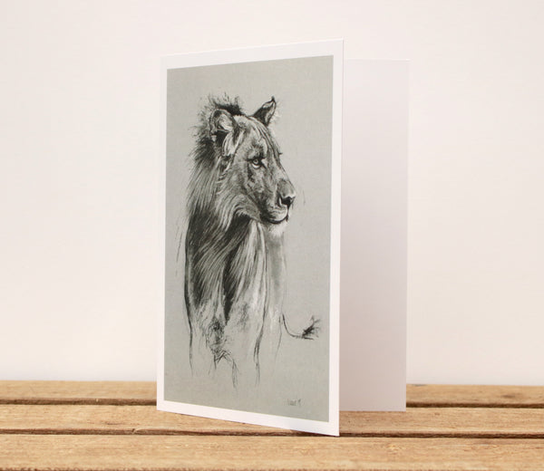 A6 Wildlife card - Windy Lion