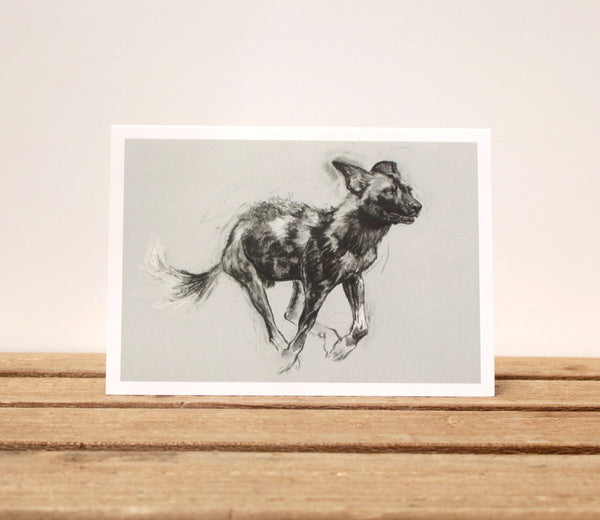 A6 Wildlife card - Painted Dog III