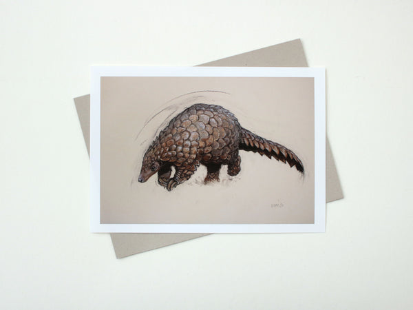 Pangolin
