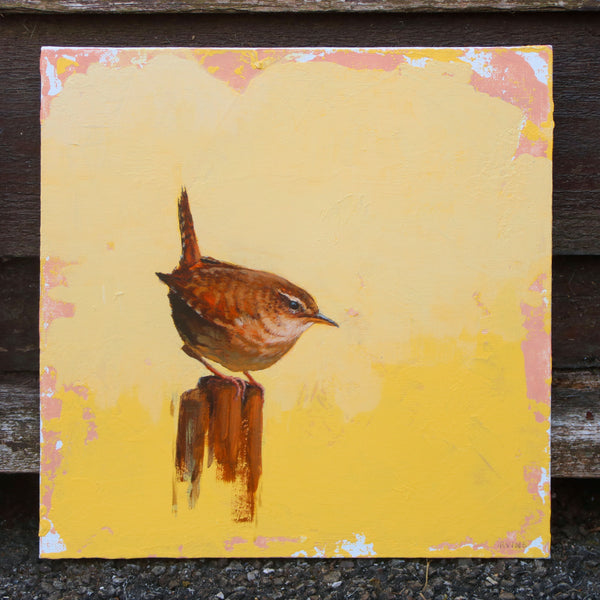 Wren Study