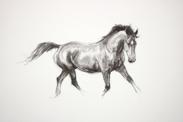 1/100 Equine