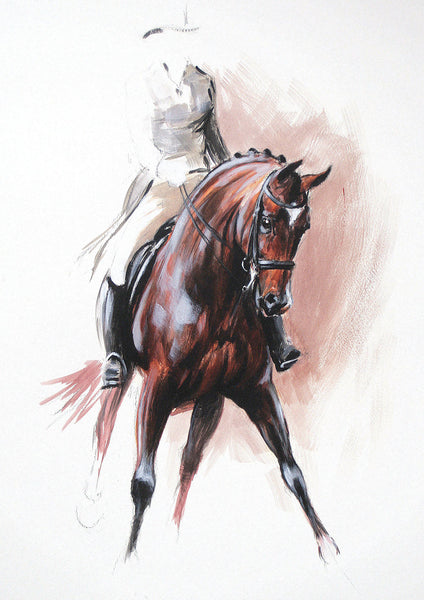 Up close image of dressage horse print bay horse and rider