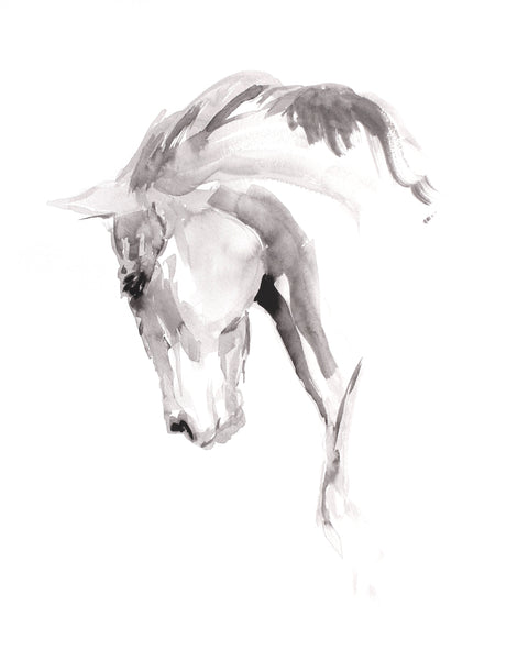 Ink Sketch I