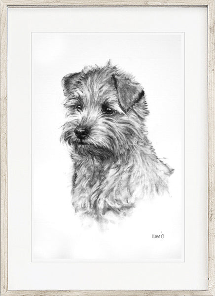 Norfolk Terrier dog print