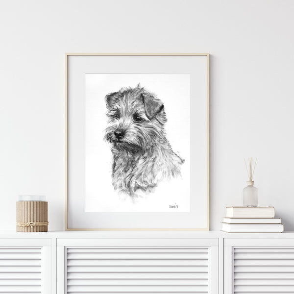 Norfolk Terrier dog print