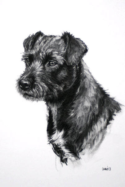 Patterdale Terrier dog print