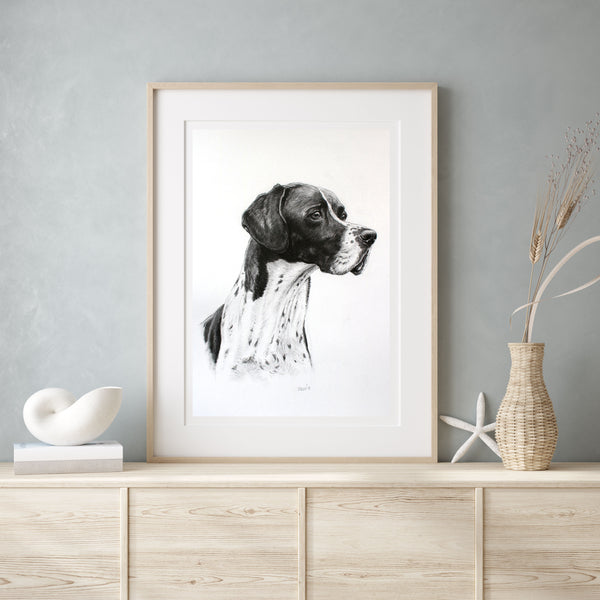English Pointer dog print