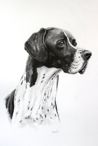 English Pointer dog print