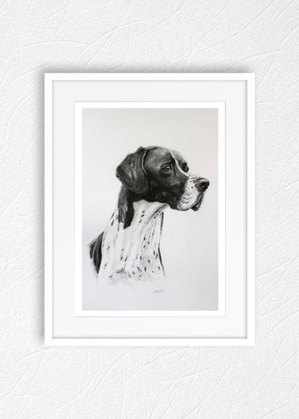 English Pointer dog print