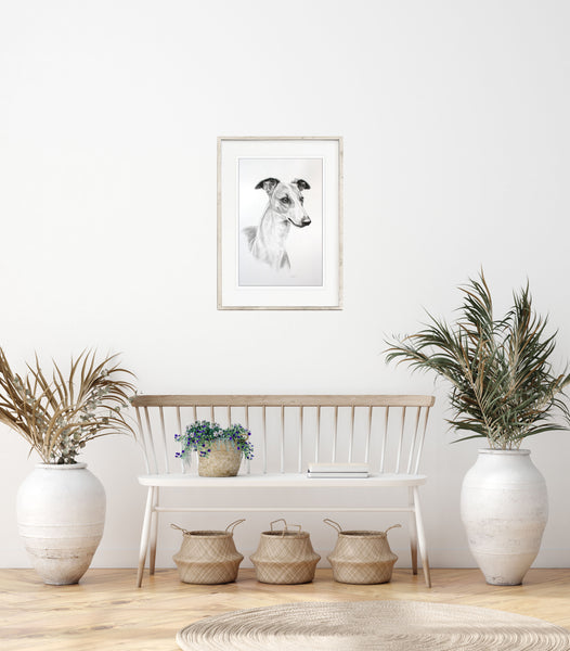 Whippet dog print