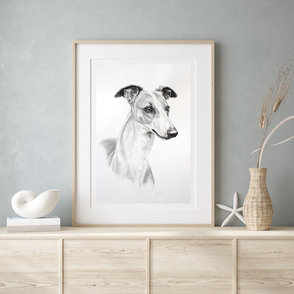 Whippet dog print