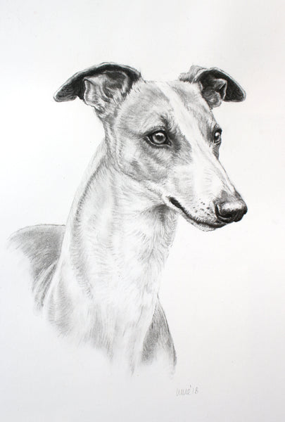 Whippet dog print