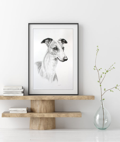 Whippet dog print